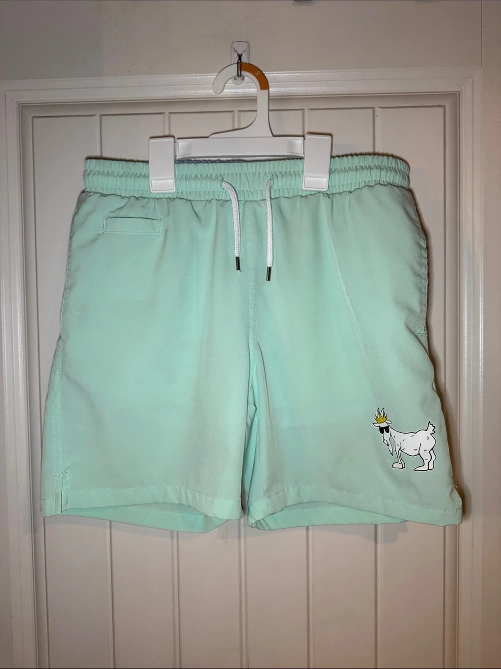 Mint Green Women's Elastic Waist Shorts